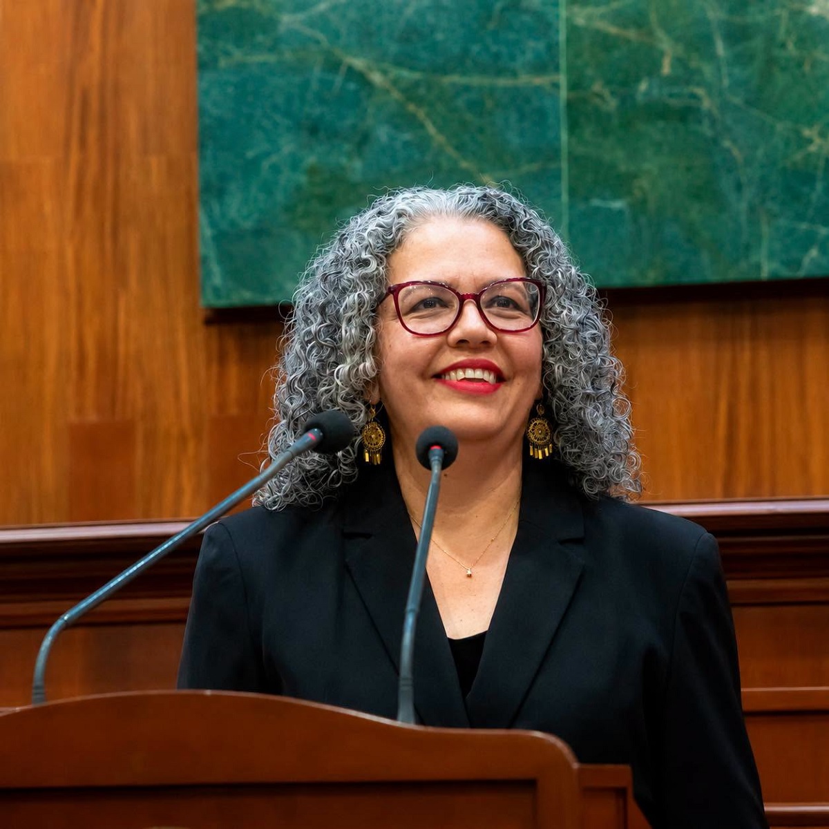Graciela Domínguez asume gobierno interino de Sinaloa con paz y seguridad como prioridades